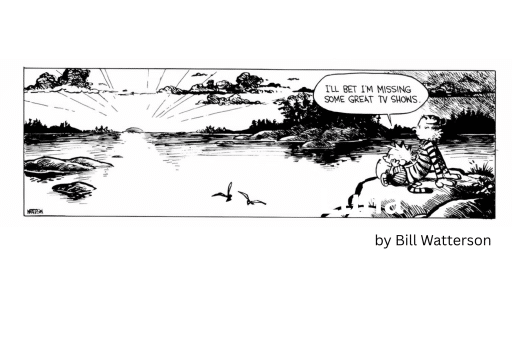 Calvin and Hobbes watching the summer sunset