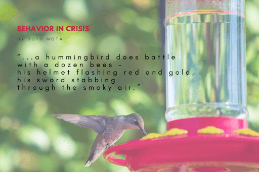 Behavior in Crisis by Ruth Mota