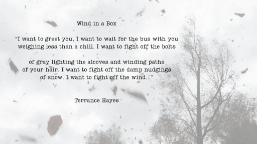 Wind in a Box