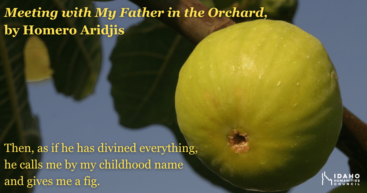 Meeting with My Father in the Orchard - 2